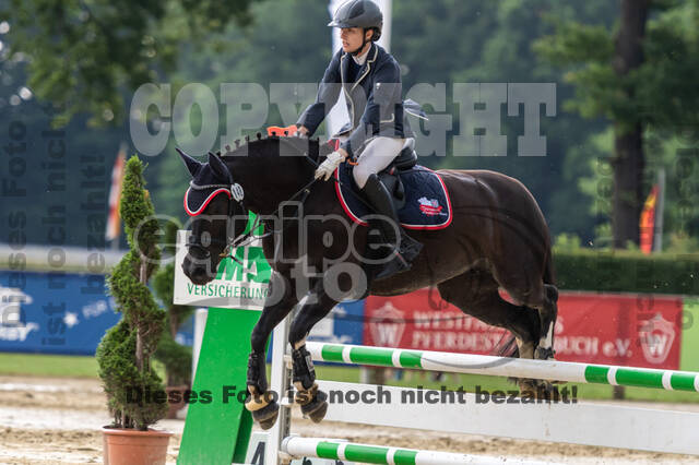 Goldene Schärpe 2021 - Ponys