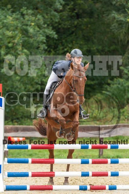 Vielseitigkeit RSV Wesel Obrighoven (26.+27.09.2020)