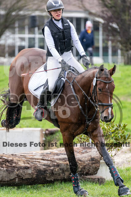 Goldene Schärpe 2020 - Pferde