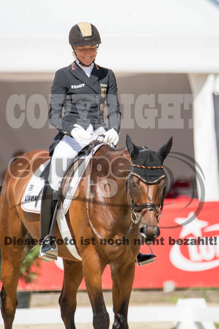 FEI European Championship Eventing 2017