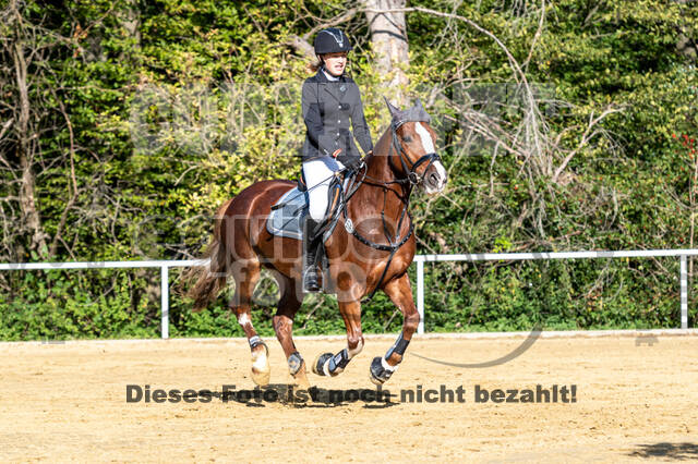 RFV Dinslaken-Hiesfeld (Herbstturnier)