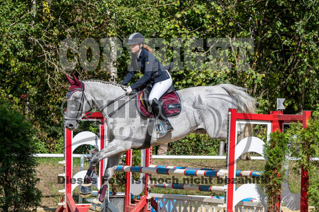 RFV Dinslaken-Hiesfeld (Herbstturnier)