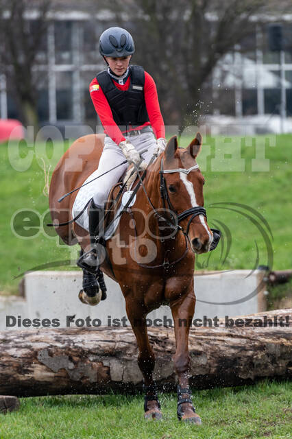 Goldene Schärpe 2020 - Pferde