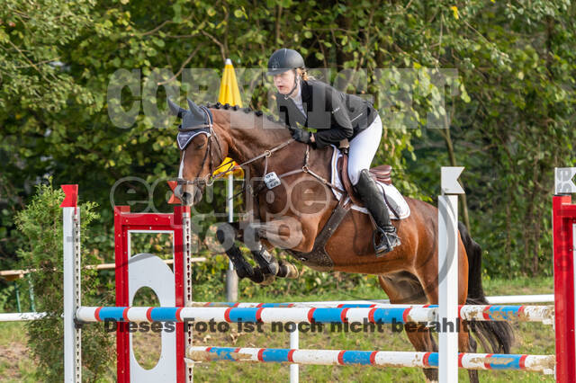 RFV Dinslaken-Hiesfeld (Herbstturnier)