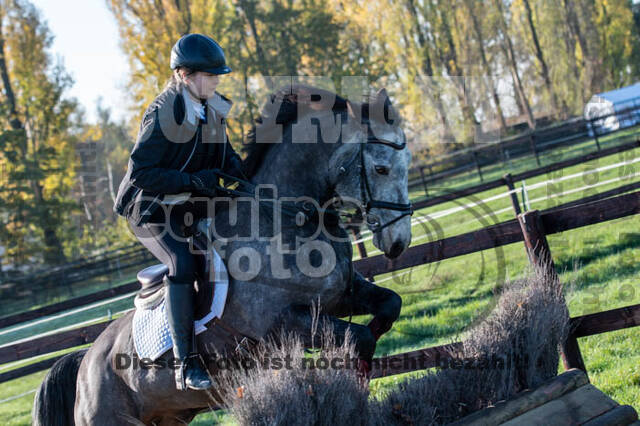 Vielseitigkeitslehrgang mit Jürg Kurbel (9.+10.11.2019)