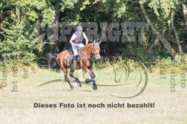 Vielseitigkeitsturnier RSV St. Hubertus Wesel Obrighoven