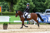 Goldene Schärpe 2021 - Ponys