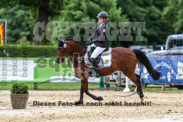 Goldene Schärpe 2021 - Ponys