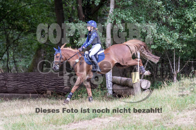 Late-Entry Vielseitigkeit Hamminkeln/Wesel (01.+02.08.2020)