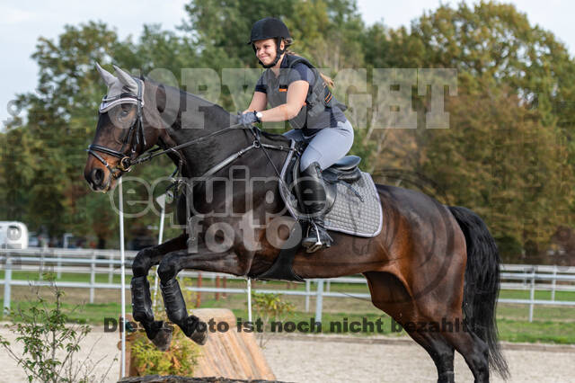 IGV Lehrgang der Sieger der Cups mit Frank Ostholt
