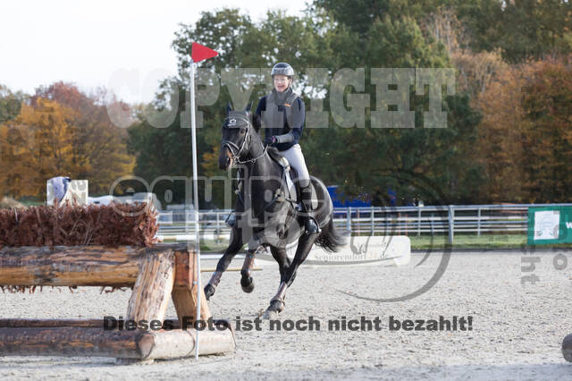 IGV Lehrgang der Sieger der Cups mit Frank Ostholt