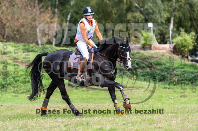 Vielseitigkeit RSV Wesel Obrighoven (26.+27.09.2020)