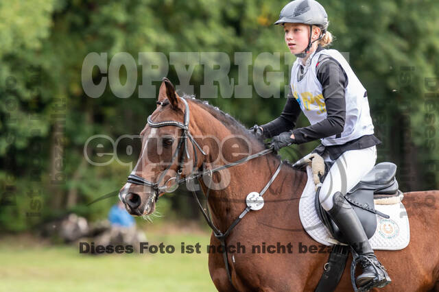 Vielseitigkeit RSV Wesel Obrighoven (26.+27.09.2020)