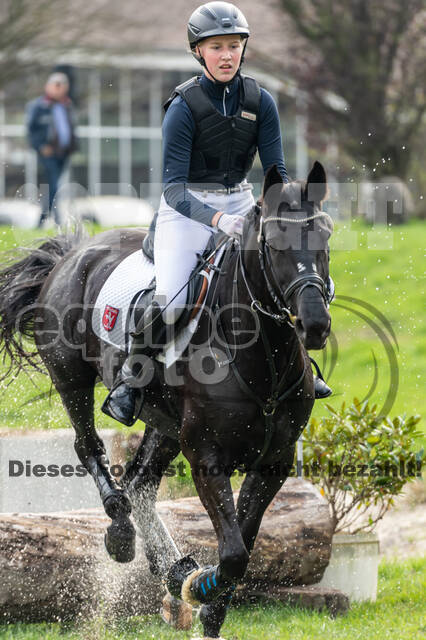 Goldene Schärpe 2020 - Pferde