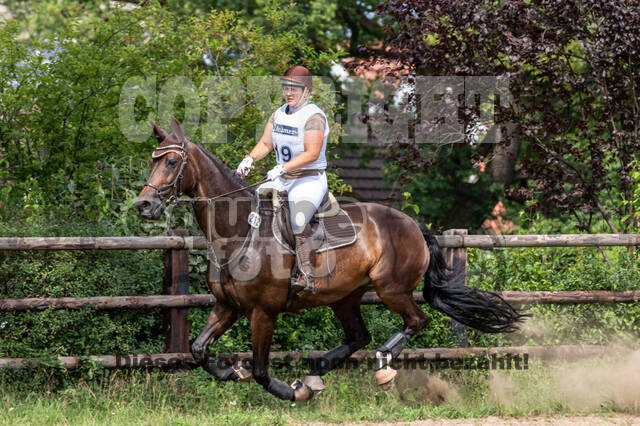 Late-Entry-Vielseitigkeit Gahlen (18.07.2020)