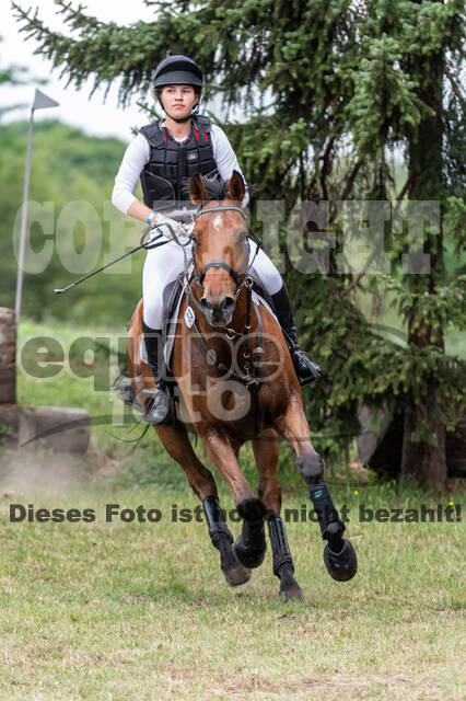 Late-Entry-Vielseitigkeit Langenfeld (11.+13./14.06.2020)