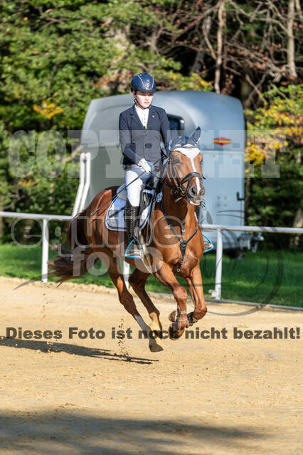 RFV Dinslaken-Hiesfeld (Herbstturnier)