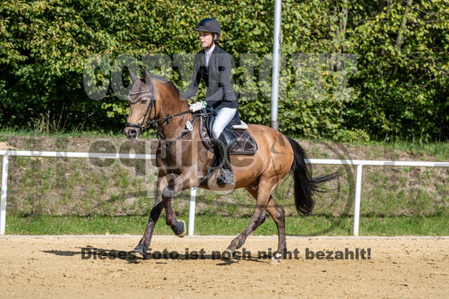 RFV Dinslaken-Hiesfeld (Herbstturnier)