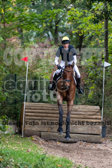 Goldene Schärpe 2020 - Pferde