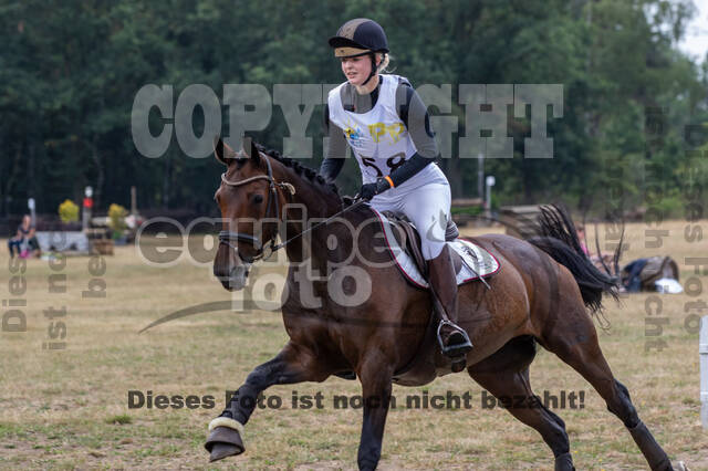 Late-Entry Vielseitigkeit Hamminkeln/Wesel (01.+02.08.2020)