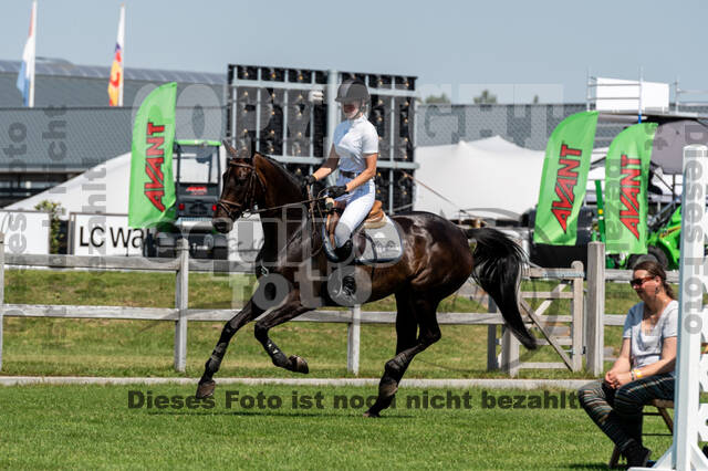 Kronenberg - De Peelbergen (August 2020)