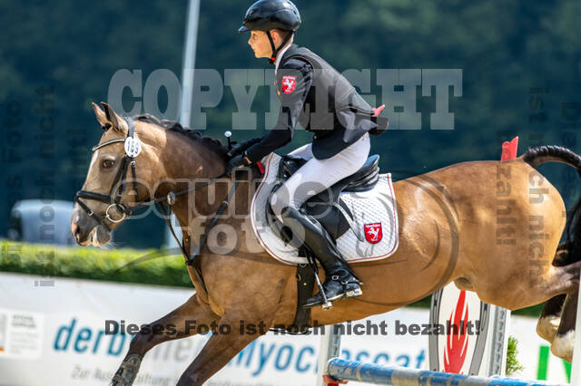 Goldene Schärpe 2021 - Ponys