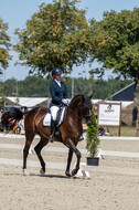 Kronenberg - De Peelbergen (August 2020)