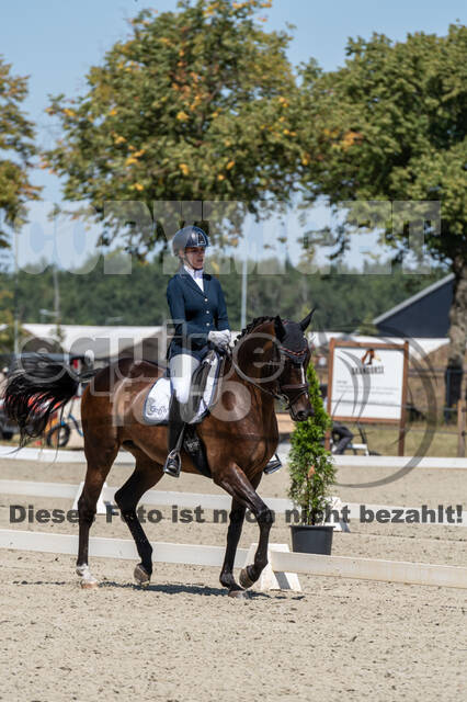 Kronenberg - De Peelbergen (August 2020)