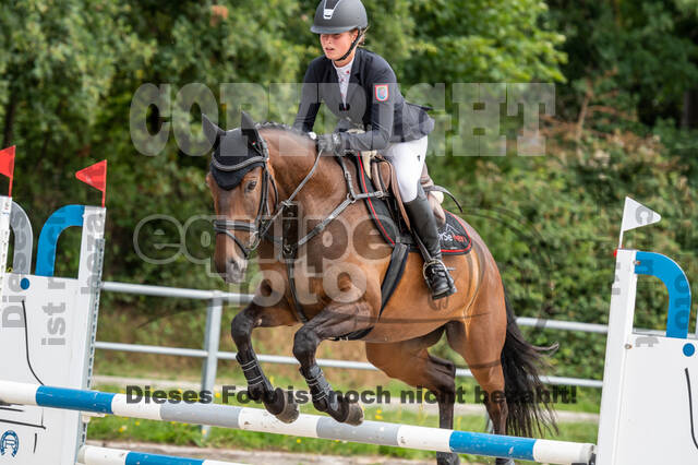 Late-Entry-Vielseitigkeit Langenfeld (06.+07.07.2020)