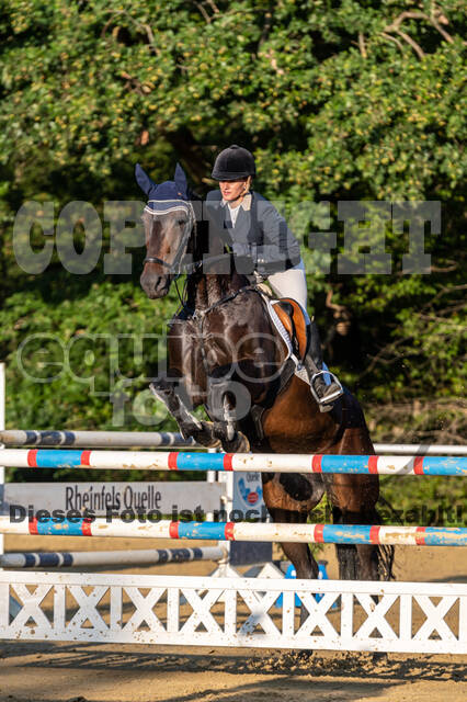 RFV Dinslaken-Hiesfeld (Herbstturnier)