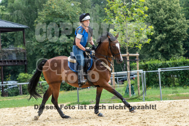 Hunter Geländetraining 10.07.2021 (Sonsbeck)