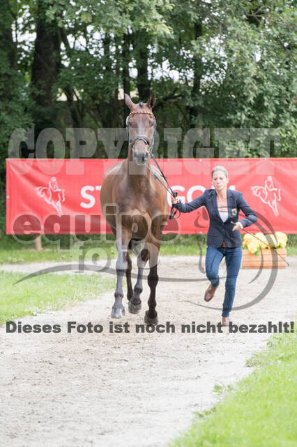 FEI European Championship Eventing 2017