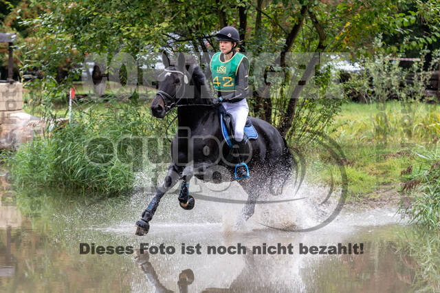 Vielseitigkeit RSV Wesel Obrighoven (26.+27.09.2020)