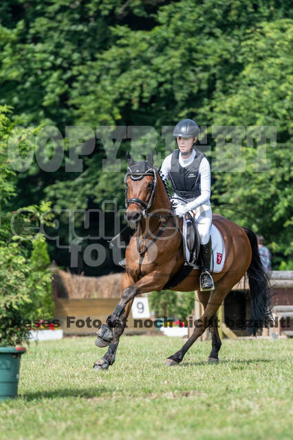 Goldene Schärpe 2021 - Ponys