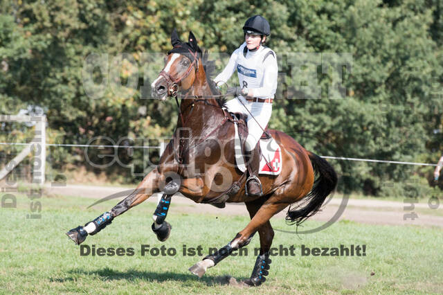 FEI European Championship Eventing 2019