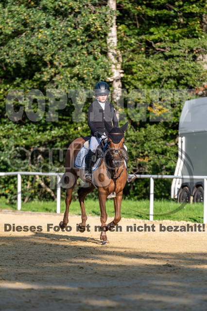 RFV Dinslaken-Hiesfeld (Herbstturnier)