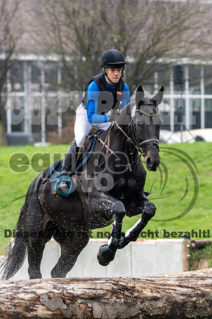 Goldene Schärpe 2020 - Pferde