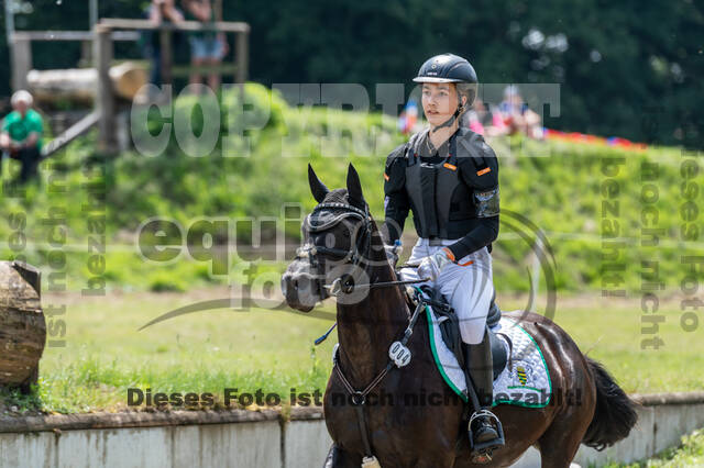 Goldene Schärpe 2021 - Ponys