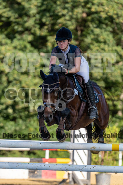 RFV Dinslaken-Hiesfeld (Herbstturnier)