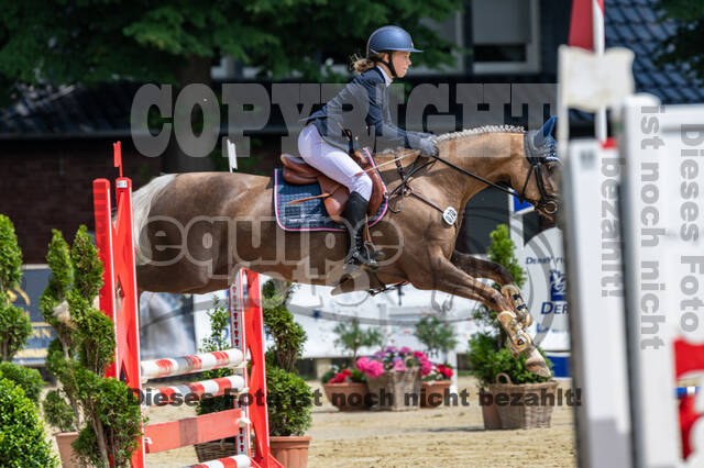 Goldene Schärpe 2021 - Ponys