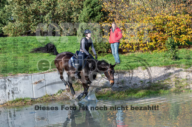 IGV Lehrgang der Sieger der Cups mit Frank Ostholt