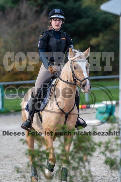 IGV Lehrgang der Sieger der Cups mit Frank Ostholt