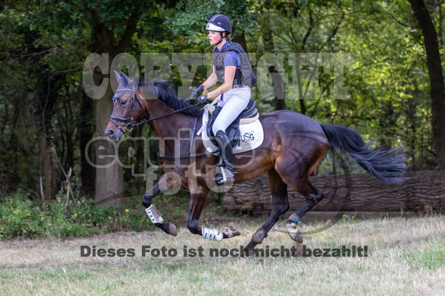 Late-Entry Vielseitigkeit Hamminkeln/Wesel (01.+02.08.2020)