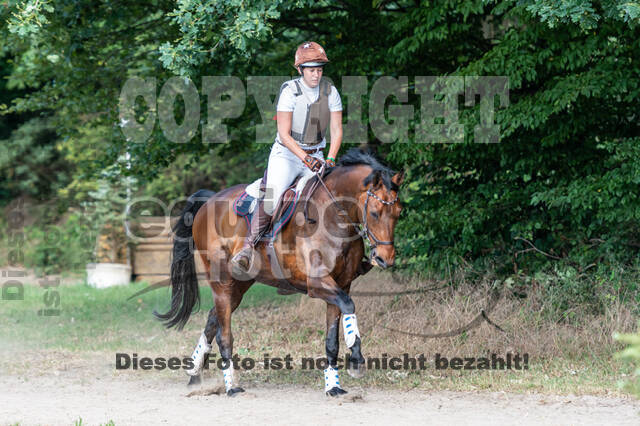 Late-Entry-Vielseitigkeit Langenfeld (11.+13./14.06.2020)