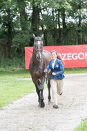 FEI European Championship