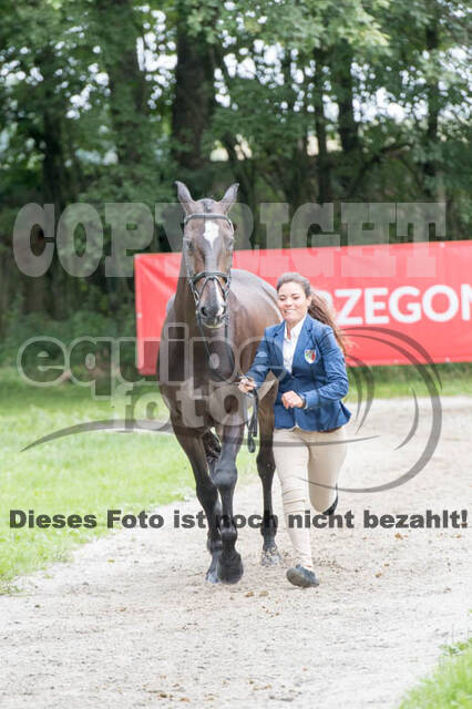 FEI European Championship