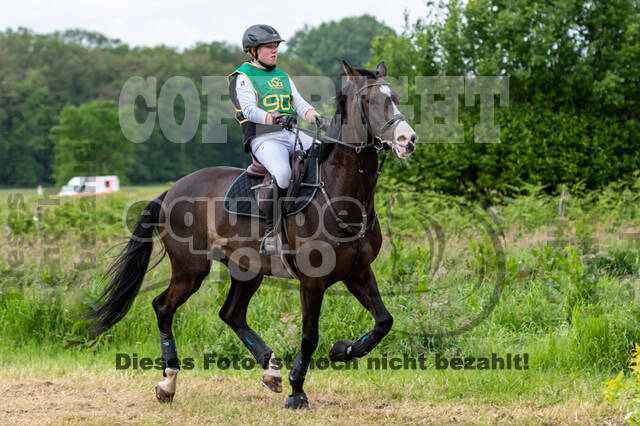 Westerstede Horse Trials (10.-13.06.2021)