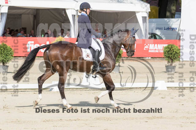 FEI European Championship Eventing 2017