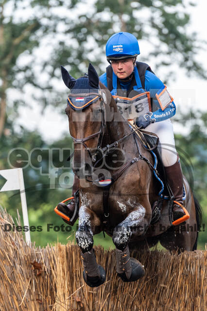 De Peelbergen (August 2020)
