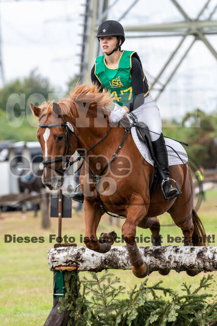 Vielseitigkeit RSV Wesel Obrighoven (26.+27.09.2020)